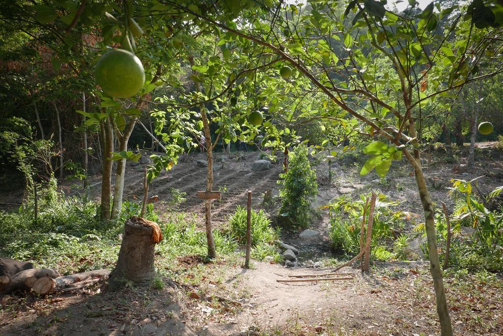 Finca Carpe Diem Ecolodge Minca Exterior photo